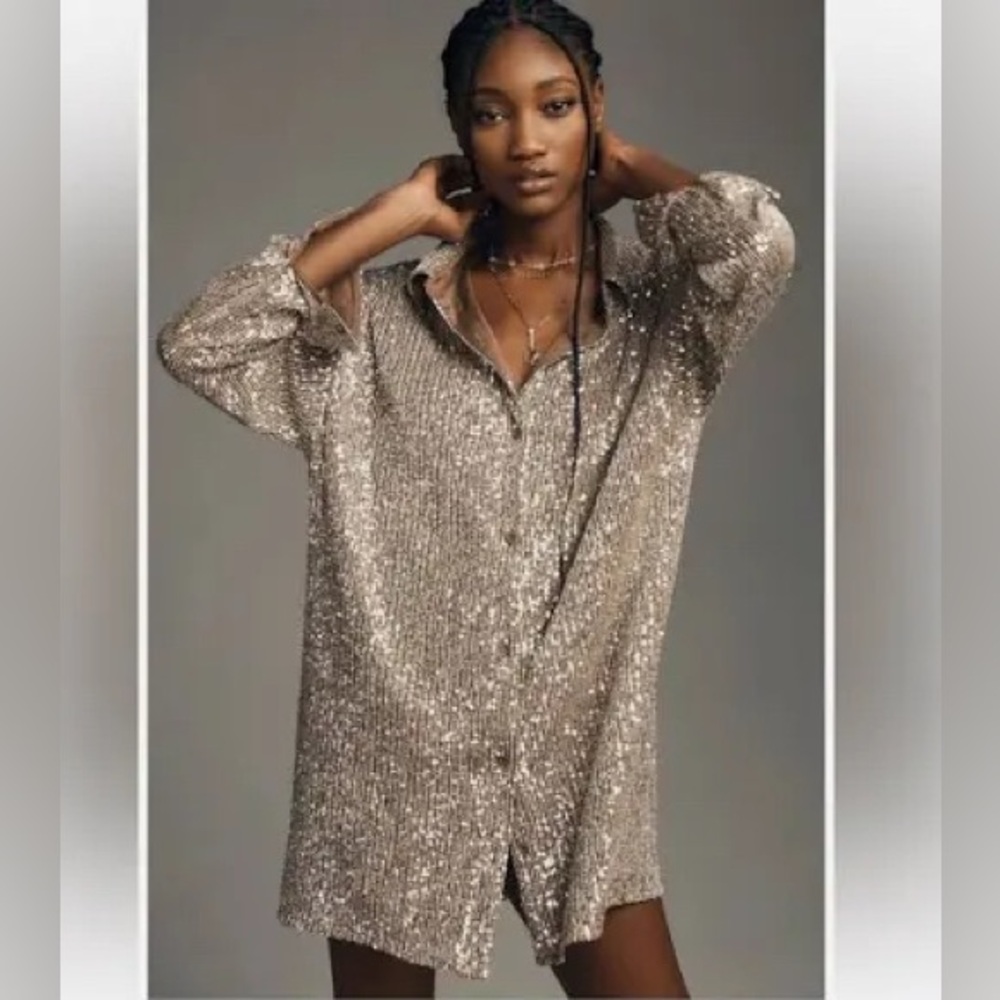 Anthropologie Silver Long Sleeve Dress